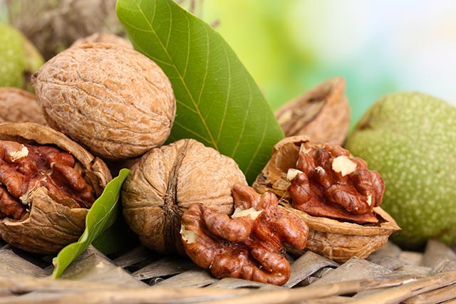 New evidence shows that walnuts optimize the gut microbiome to suppress colon cancer cell growth