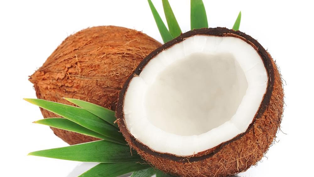 Scientific review proves that coconut palm is the most naturally widespread medicinal fruit plant