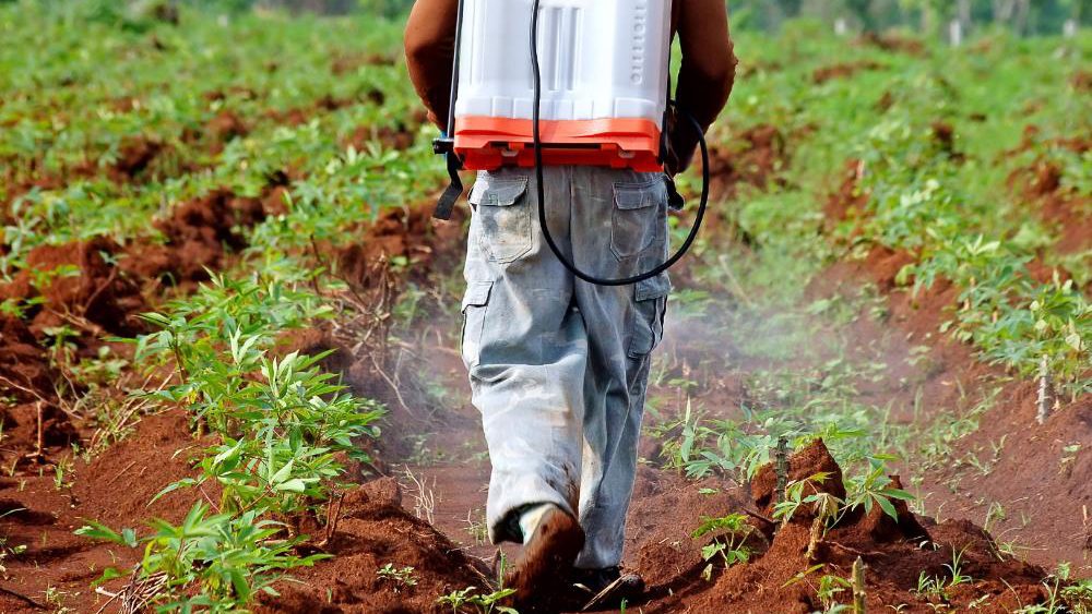 Study reveals that pesticides are linked to an increased risk of heart disease