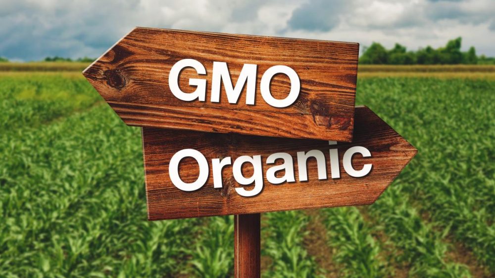 Study: Organic food provides more health benefits than non-organic food