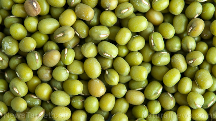 Understanding the many biological activities of mung beans