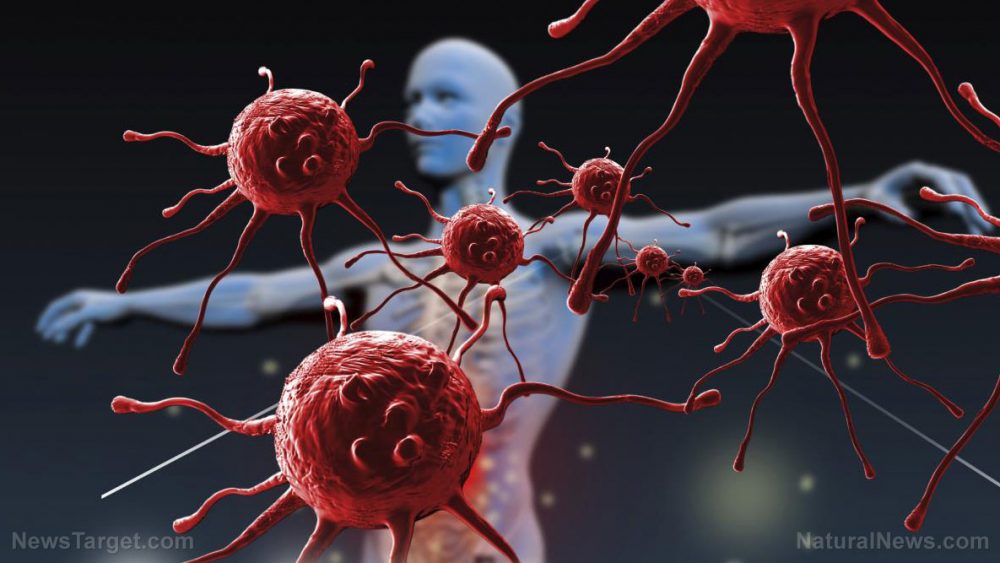 Skip the risky vaccines: New study shows prebiotics fight rotovirus