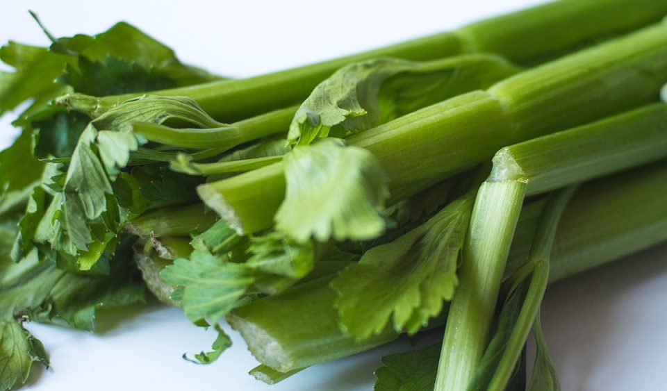 Study finds that celery compounds may halt breast cancer