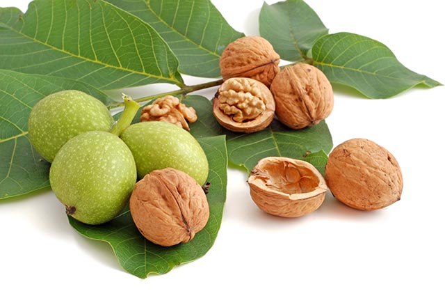 Walnuts contain 4 to 15x more vitamin E than other nuts