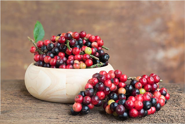 Researchers look at the cardioprotective, antioxidant, and anti-inflammatory properties of maoberry