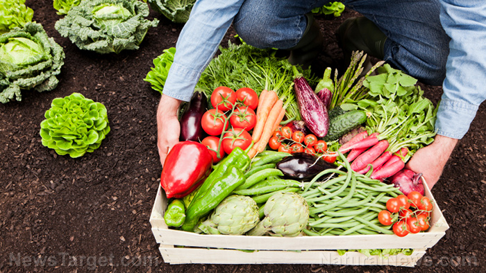 8 reasons why you should grow your own food