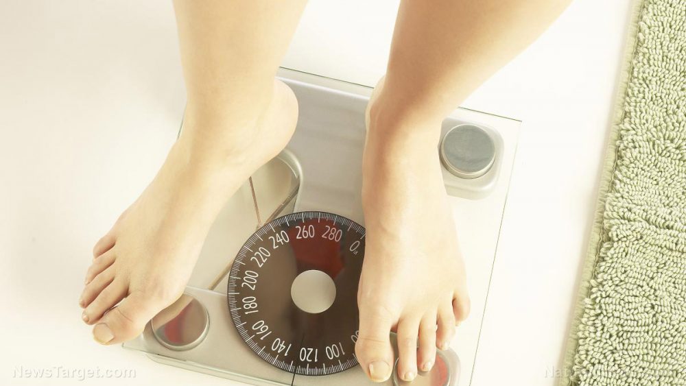 A bitter pill to swallow: Is chronic dieting actually CAUSING weight gain?