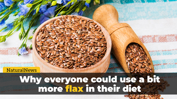 Why everyone could use a bit more flax in their diet