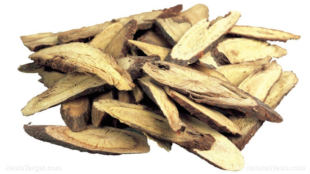 Licorice root a safe alternative for promoting oral health
