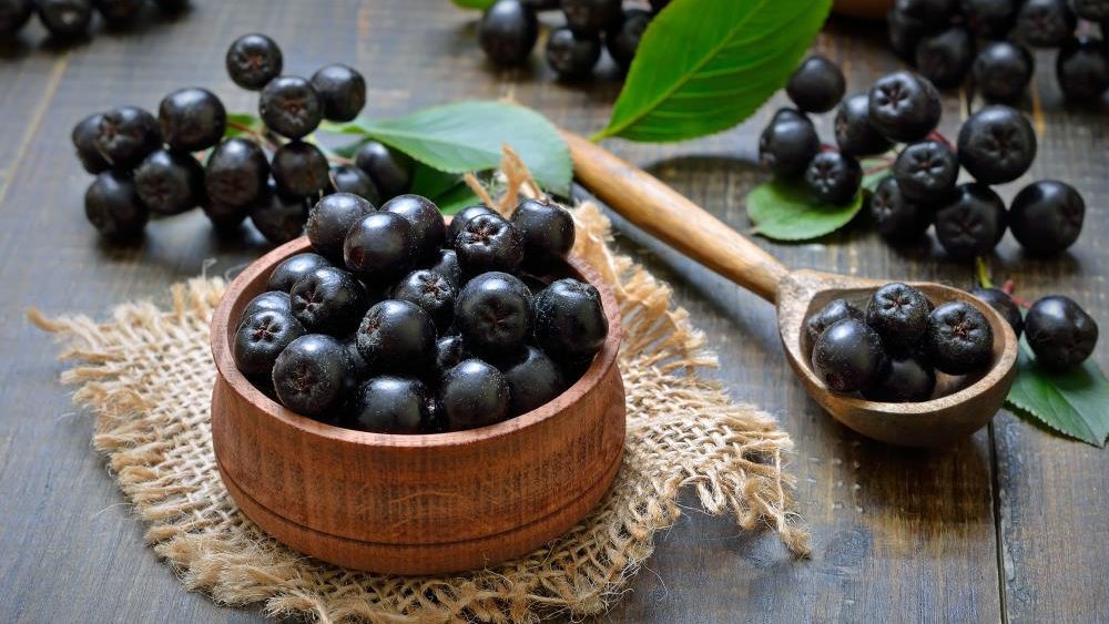 Keep high blood pressure at bay by snacking on chokeberries