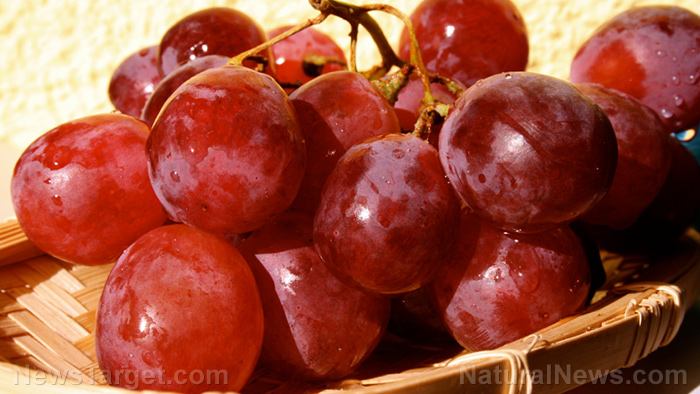 Study reveals that intake of dietary grape powder can help promote cytokine production