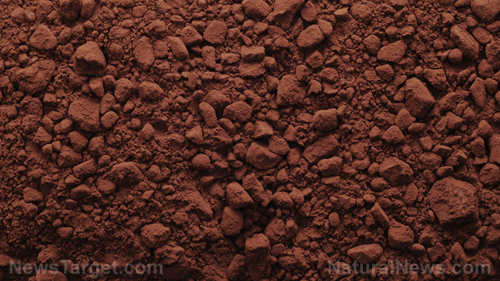 Better chocolate, better benefits: High quality chocolate, without additives, is very good for the heart