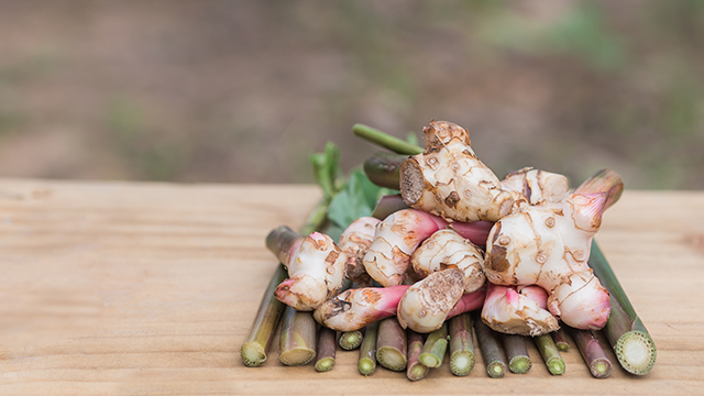 Could galangal be the next functional superfood?