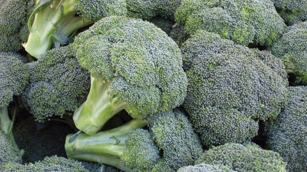 Broccoli yogurt? Researchers found the concoction killed 75% of bowel cancer tumors in mice, raising hopes it can treat or prevent the disease in humans