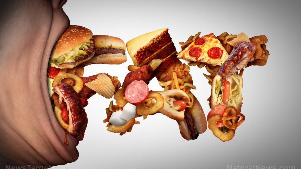 Fighting your cravings: Researchers identify new brain circuits that can help curb junk food cravings