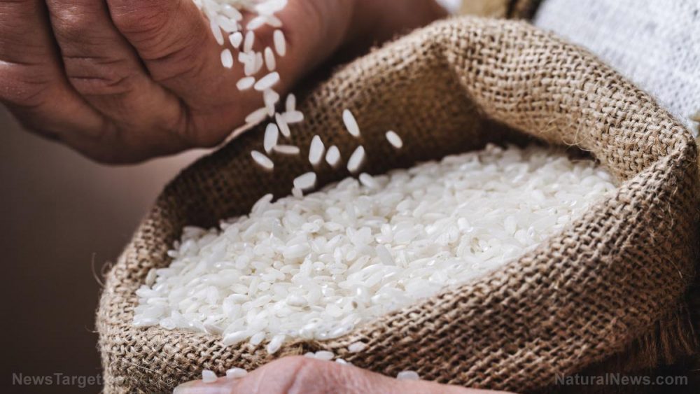 Are you slowly poisoning yourself with… rice?