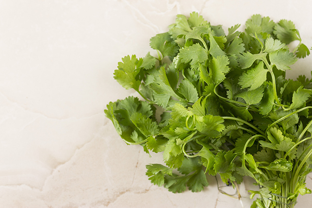 Natural remedies for lead poisoning: Cilantro, also known as coriander, naturally protects the liver and lowers lead concentration