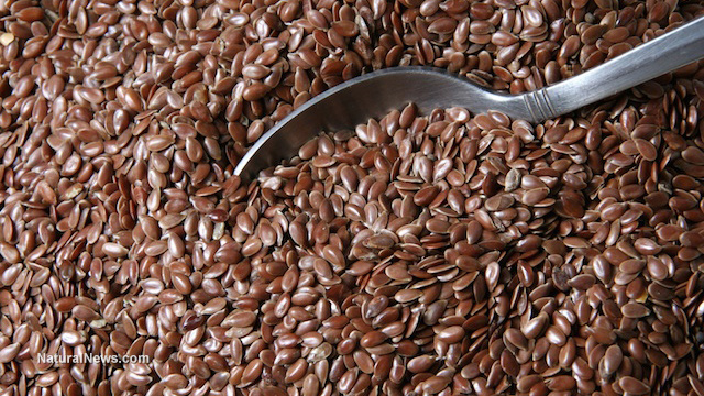 Flaxseeds improve gut health and metabolic health, increase production of beneficial fatty acids