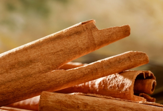 Cinnamon: A sweet-spicy treat for fighting Alzheimer’s
