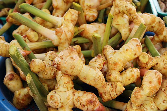 It’s time to look at galangal, ginger’s lesser known (but equally potent) relative