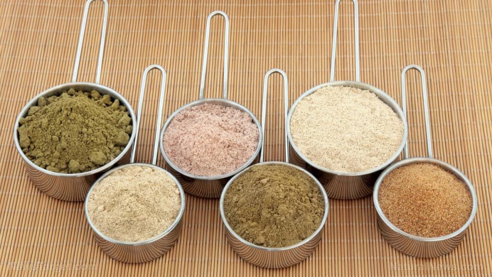 Prepper protein: Which powders should you stockpile?