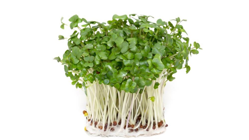Can you balance your brain chemistry with nutrition? Compounds in broccoli sprouts found to help people with schizophrenia