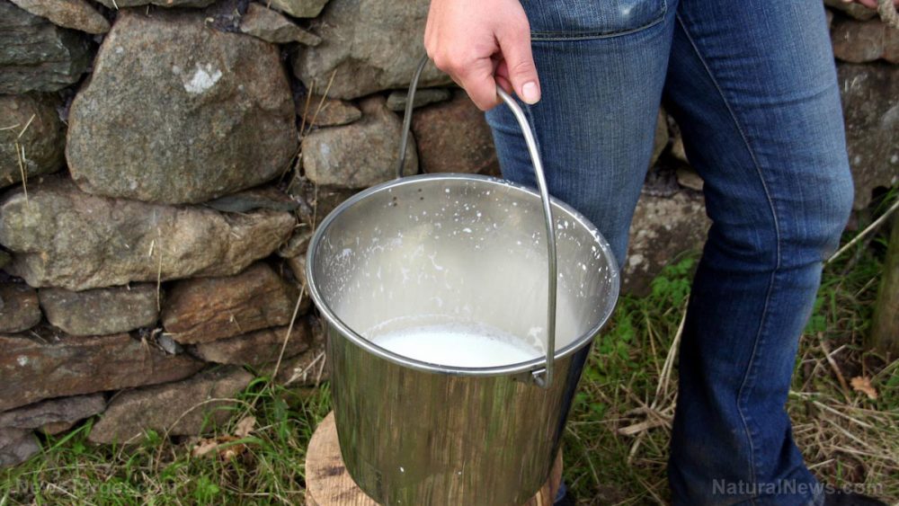 Food storage tips: 5 ways to preserve milk