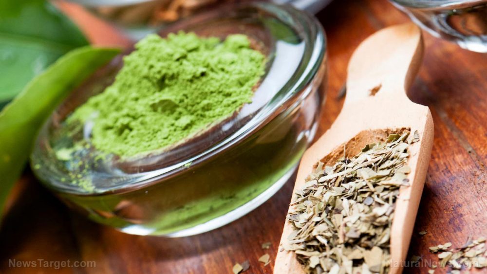Green tea found to have practical antioxidant applications for preserving stored food