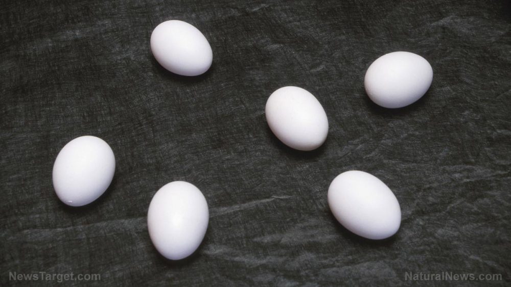 Eating eggs and other sources of dietary cholesterol NOT linked to risk of stroke, according to study