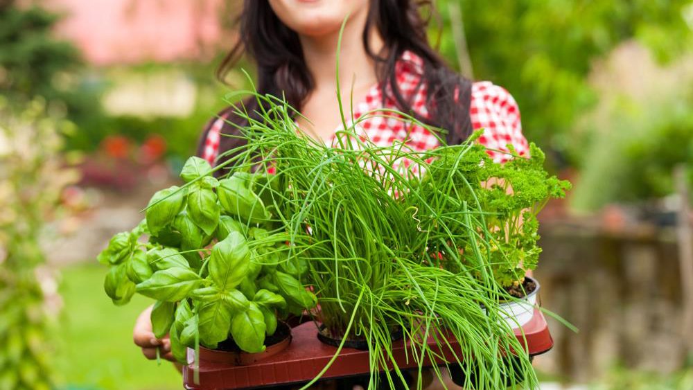 Foodscaping: Build your edible landscape by adding these herbs to your garden