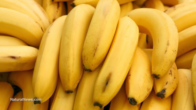 Do not toss: Overripe bananas may be effective against cancer cells, finds scientific study