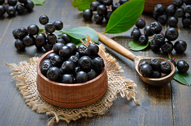 Fermented chokeberries have “belly-busting” properties, says research