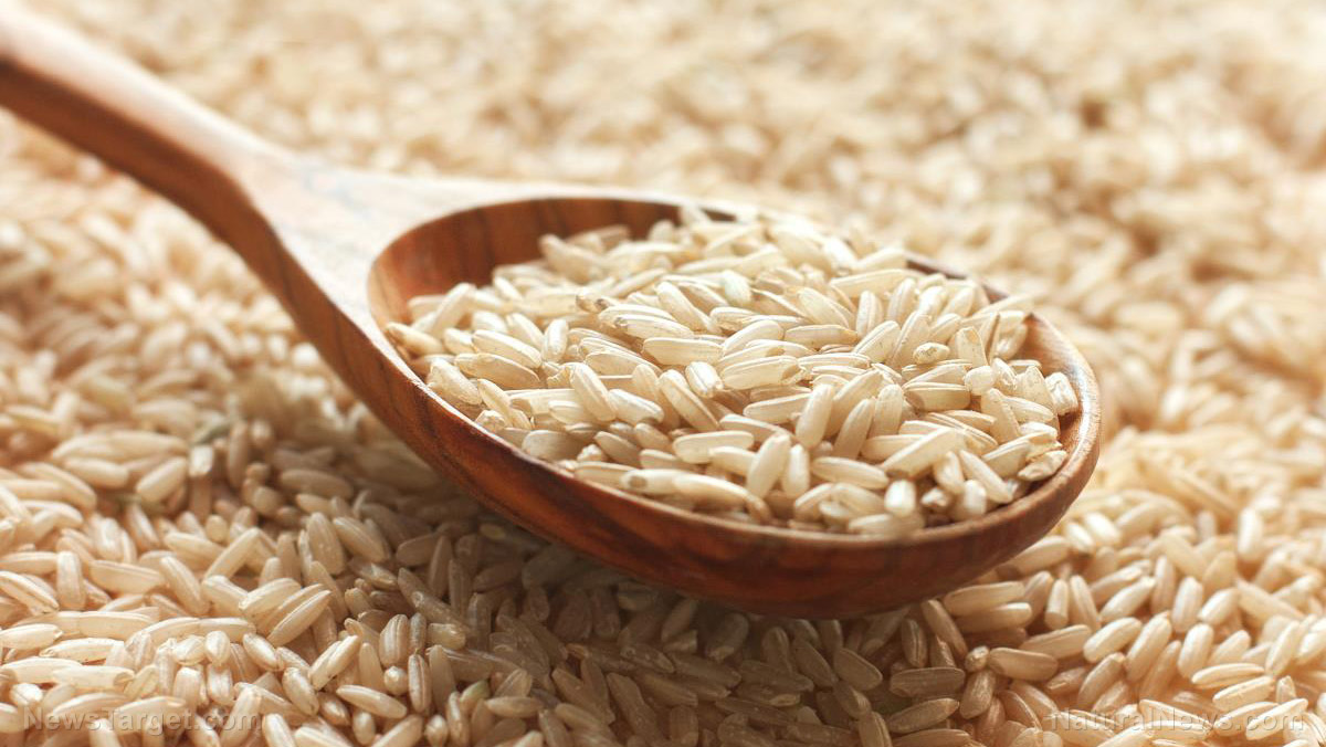 Nutrient-rich brown rice helps prevent cognitive impairment linked to Alzheimer’s