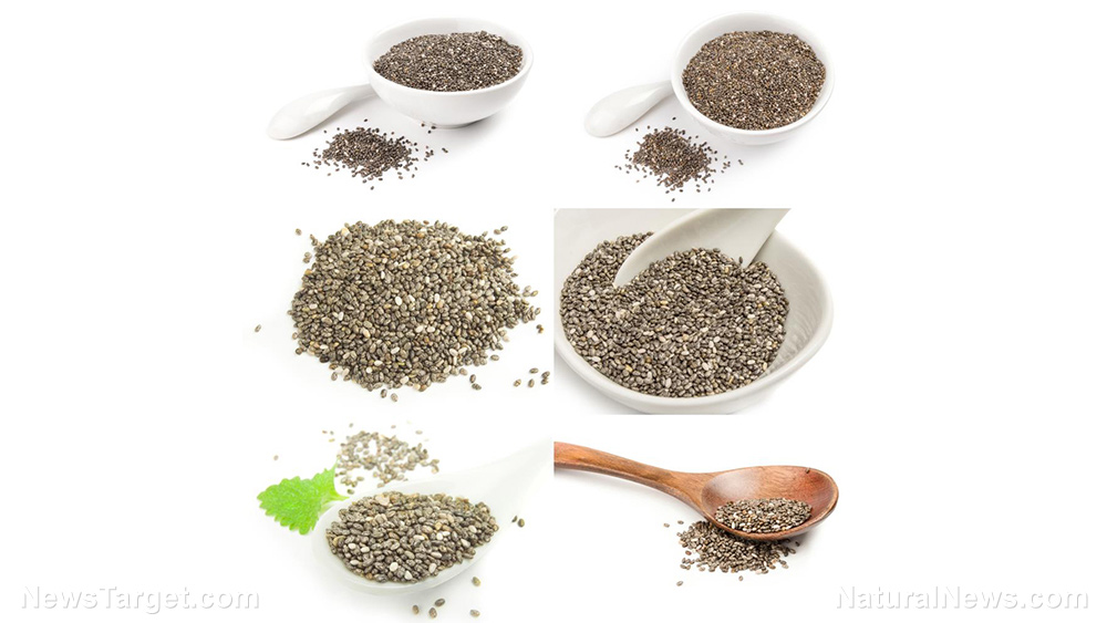 Cha-Cha-Chia! 9 Amazing uses for chia seeds, the ancient Mesoamerican superfood