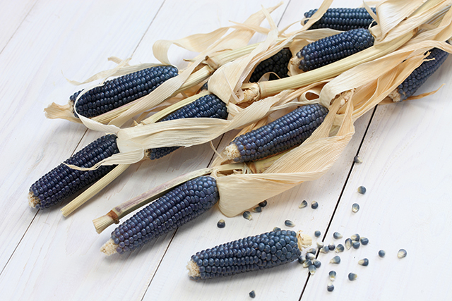 Blue corn is packed with antioxidants that protect against metabolic syndrome and heart disease