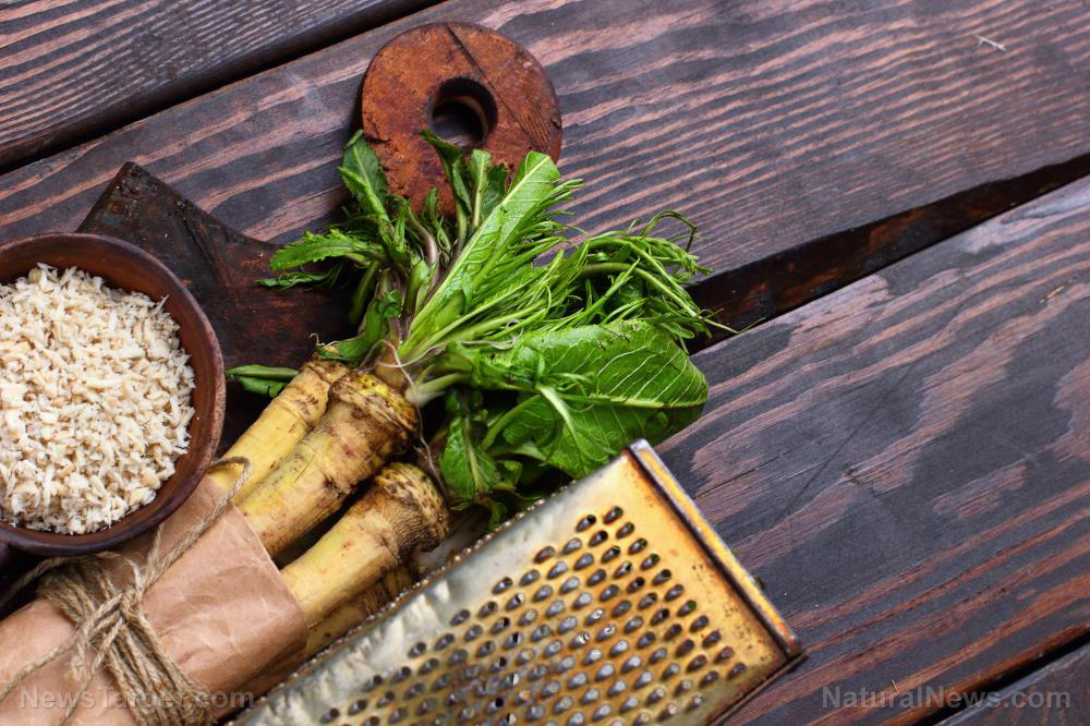 11 Major health benefits of HORSERADISH you should know about