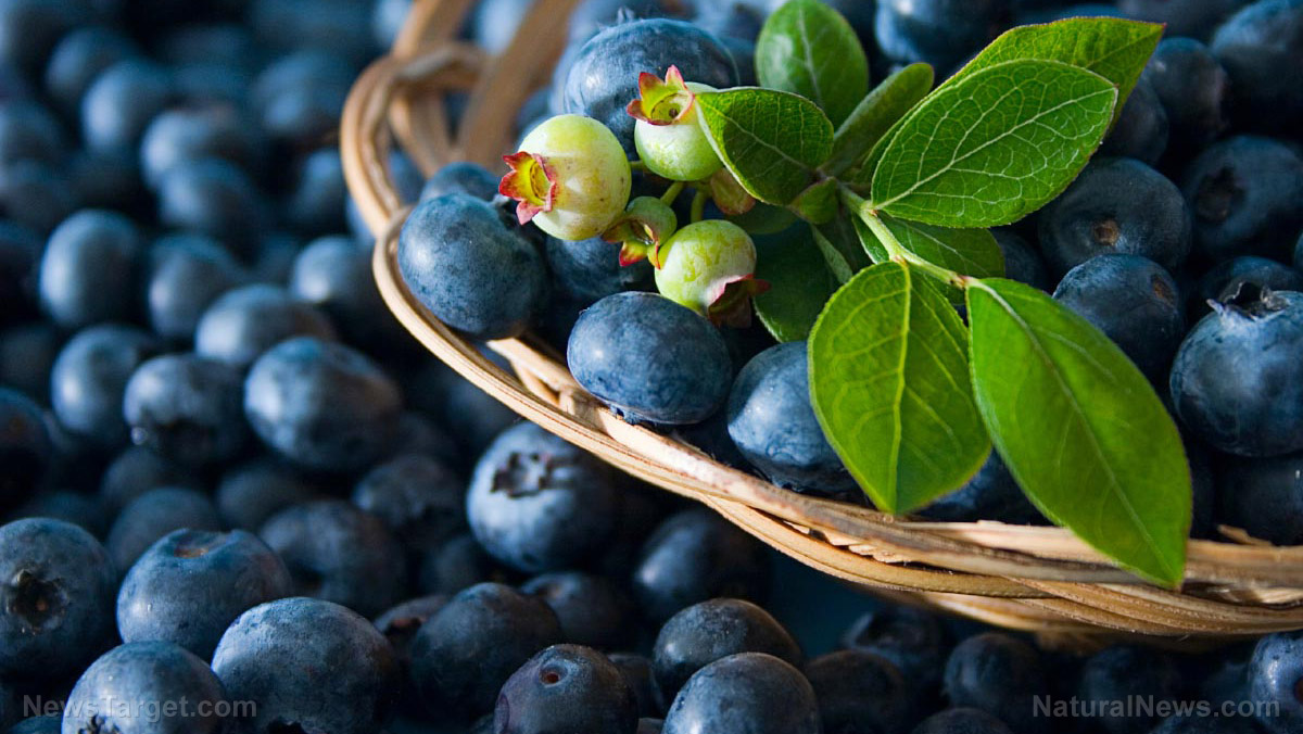 Antioxidant-rich wild blueberries are good for your heart and metabolic health