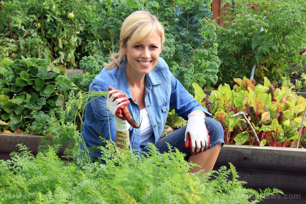 9 Tips for starting an organic garden