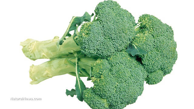 Broccoli has many health benefits, chief among them are anti-cancer and anti-arthritis properties