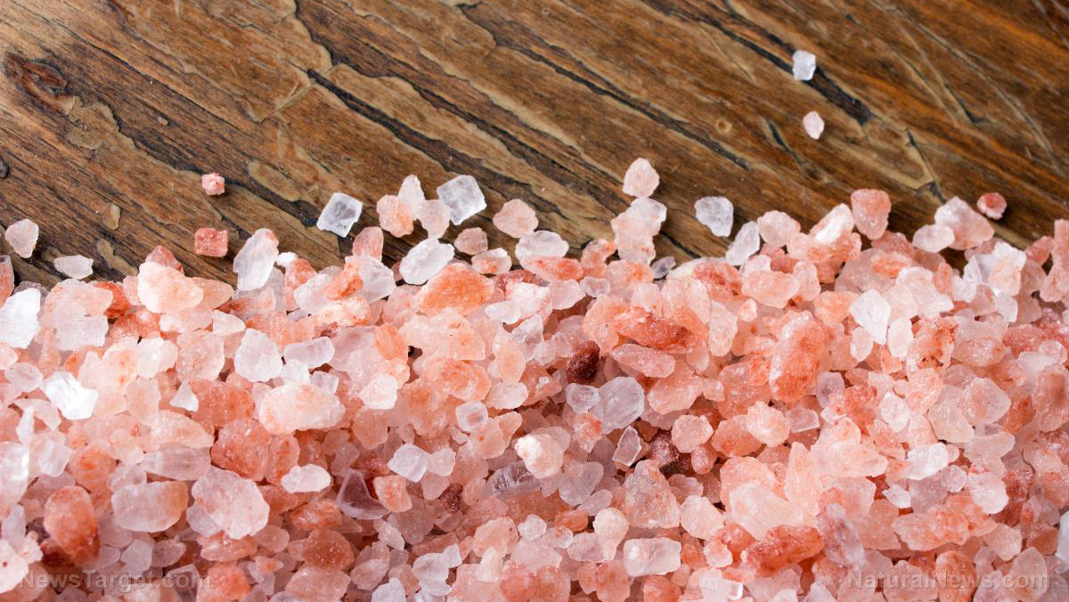 The importance of salt and why Himalayan salt is the healthiest salt on the planet
