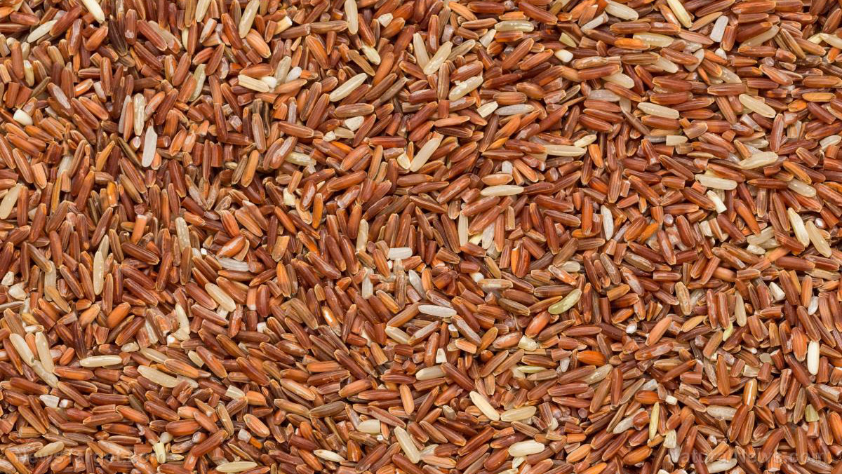 10 Incredible health benefits of switching to brown rice (recipes included)