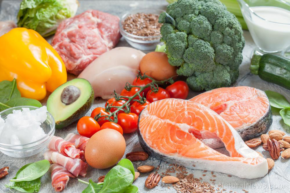 Dieting 101: What’s the difference between the Paleo Diet and the Ketogenic Diet?