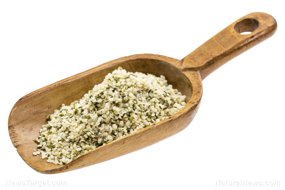 5 Incredible benefits of hempseeds for optimal health (recipes included)