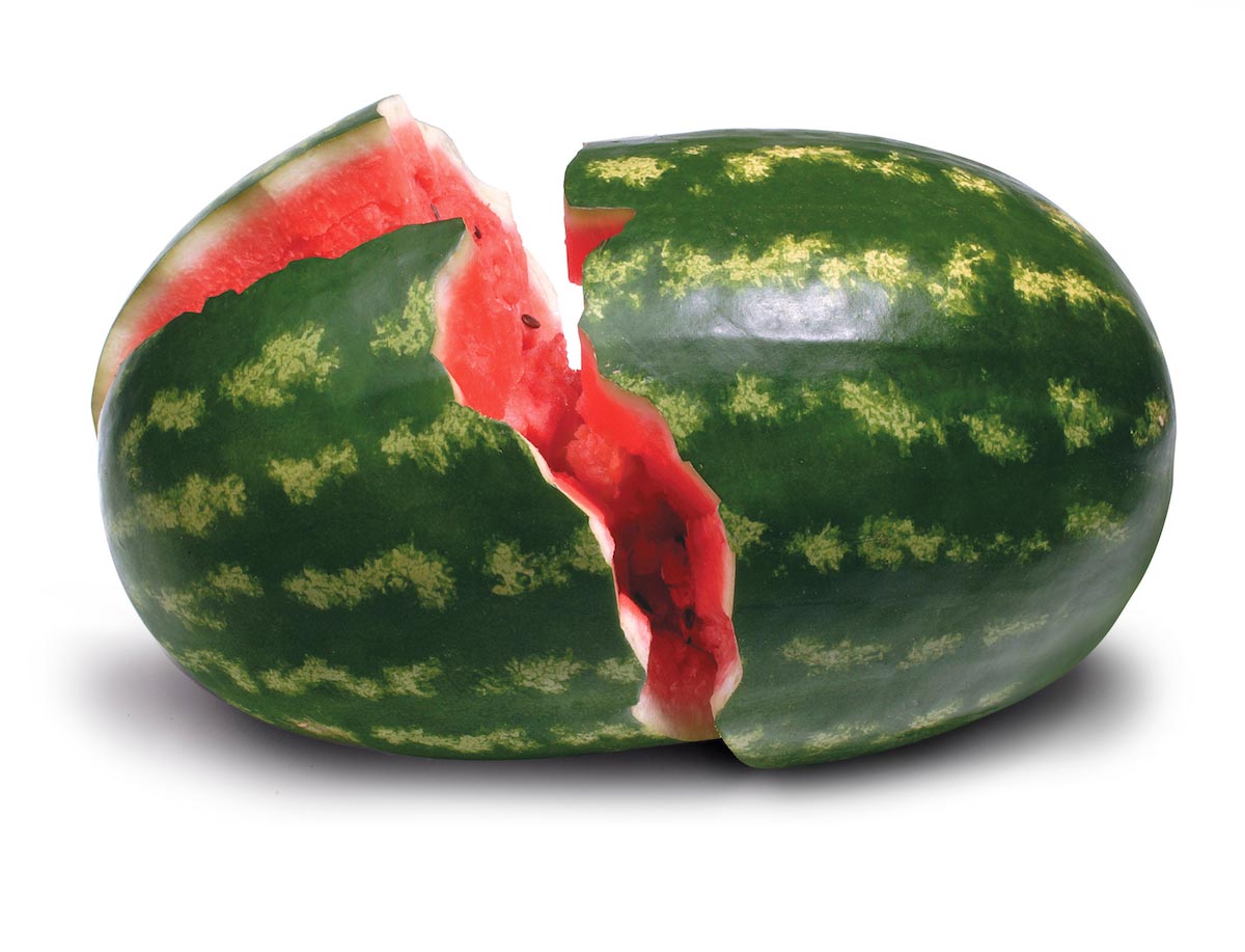 More than just a sweet treat: Studies suggest watermelons have curative properties