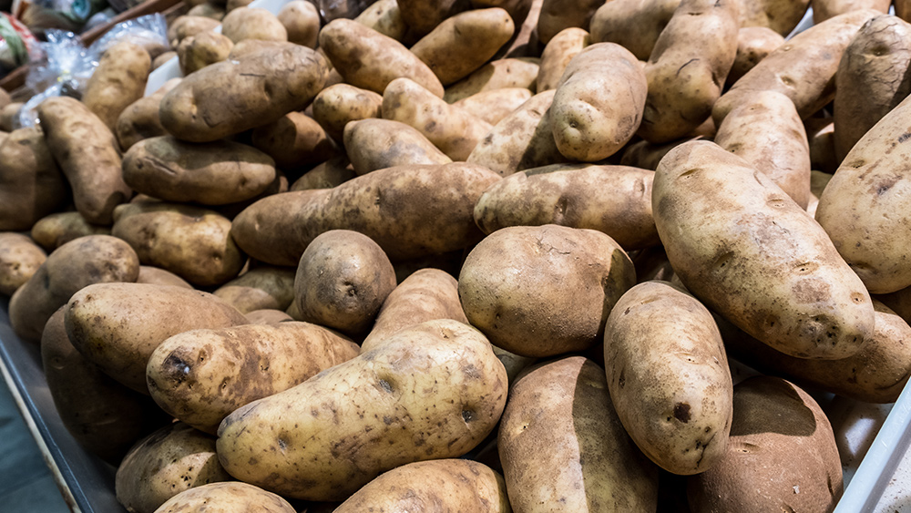 Sun’s out, spuds’ out: Here’s how you can grow your own organic potatoes at home