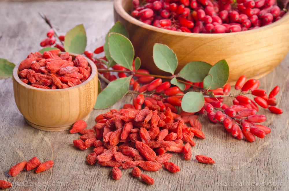 9 Good reasons you should eat goji berries, an incredibly healthy superfood (recipes included)