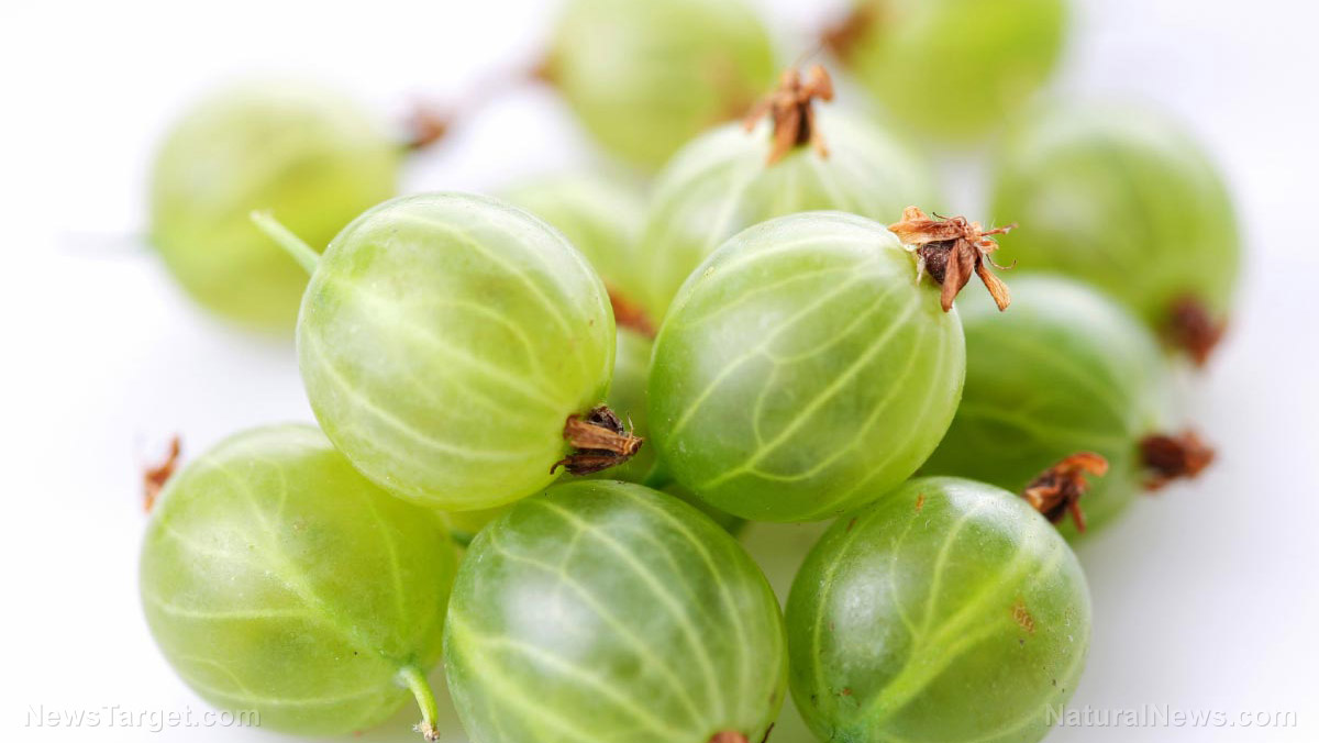 4 Healthy reasons to add Ceylon gooseberries to your diet