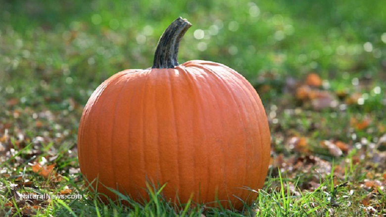 9 Reasons you should add pumpkins to your diet (recipe included)