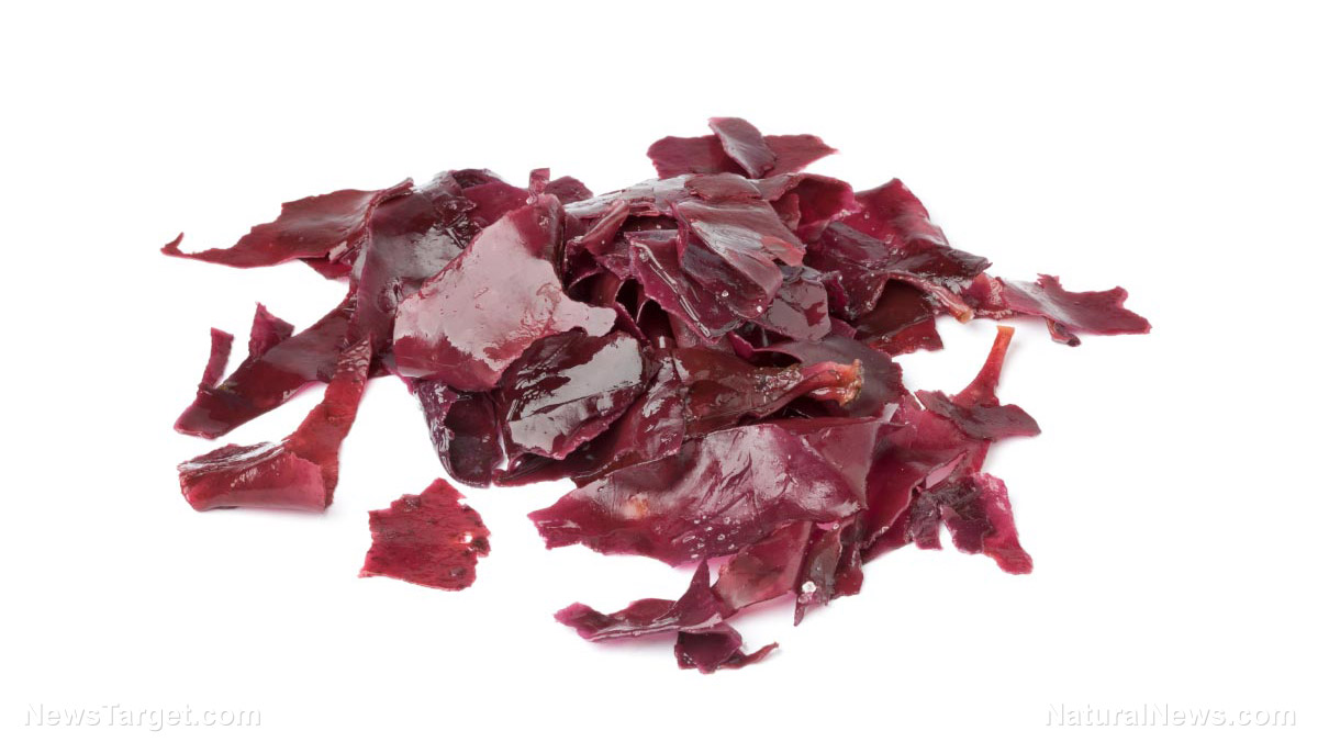 Get to know dulse, the tasty, antioxidant-rich seaweed making a splash in the food industry (recipes included)