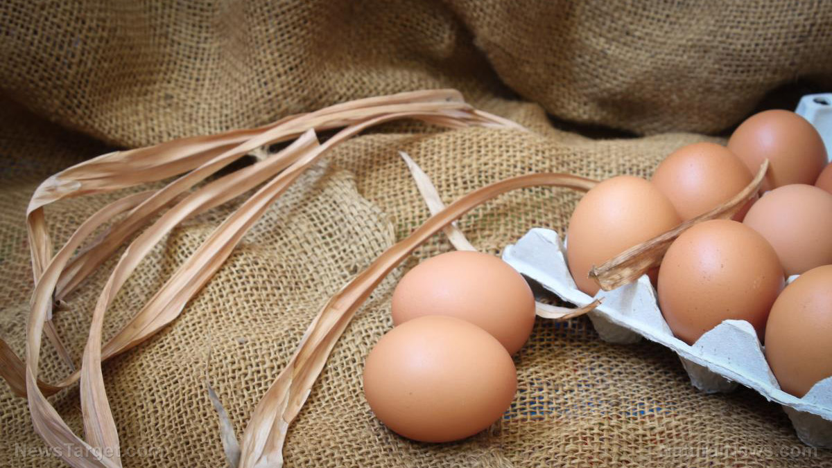 8 Amazing benefits of eggs for your health (recipes included)
